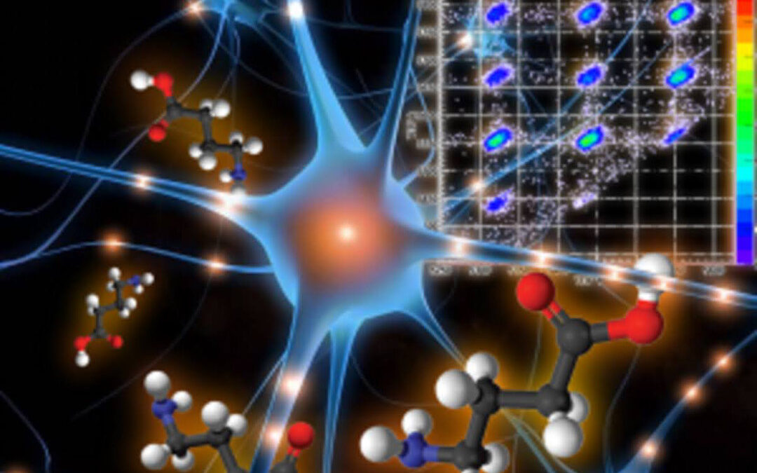 Vers une simulation machine learning d’agrégats chargés